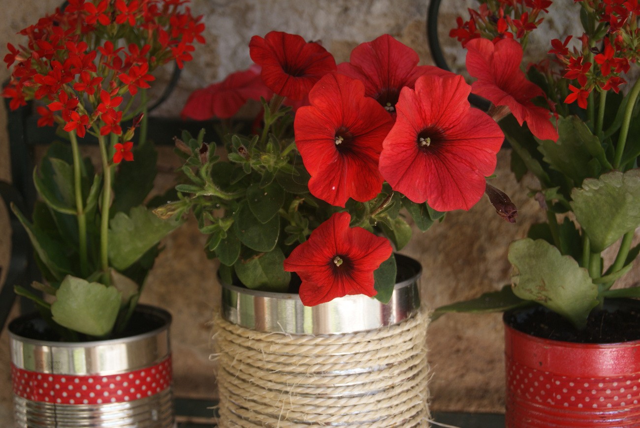 DIY - Les pots de fleurs